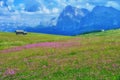 Cabins in a Meadow in the Italian Alps