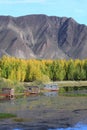 Cabins near Kyi river Royalty Free Stock Photo