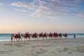 People riding Camels on Cable Beach on a beautiful summers evening Royalty Free Stock Photo