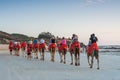 People riding Camels on Cable Beach on a beautiful summers evening Royalty Free Stock Photo