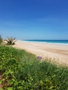 Cable Beach Broome Australian outback Royalty Free Stock Photo