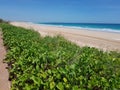 Cable Beach Broome Western Australian outback Royalty Free Stock Photo