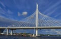 Of the cable bridge over the Neva River Royalty Free Stock Photo