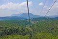 Cable car cables run over the forest. In the foreground are dense thickets of coniferous trees. Royalty Free Stock Photo