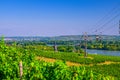 Aerial panoramic view of river Rhine Gorge or Upper Middle Rhine Valley winemaking region Royalty Free Stock Photo