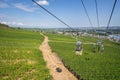 Cable car travelling above the landscape of Rhine Valley vineyards, Rudesheim am Rhein, Germany Royalty Free Stock Photo