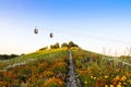 Cable cars and colorful flowers in a garden up in a hill