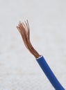 Cable with copper wires Royalty Free Stock Photo