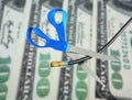 Cable cut over money Royalty Free Stock Photo