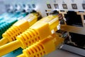 Cable interface with the ports of the broadband switch, the front of the switch Royalty Free Stock Photo