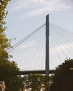 Cable-stayed Ada bridge over the Sava river in Belgrade, Serbia. Royalty Free Stock Photo