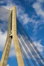 The cable-stayed bridge