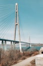 Cable-stayed bridge across the strait