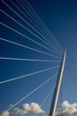 Cable stayed bridge