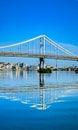 Cable-stayed bridge with its support reflected in the river waves. Cityscape on a summer morning. Vertical detailed panorama. Wave Royalty Free Stock Photo