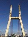 Cable-stayed bridge