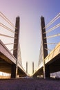 Cable-stayed bridge perspective sunset architecture engineering urban