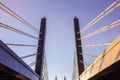 Cable-stayed bridge perspective sunset architecture engineering urban