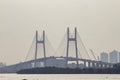 Cable Stayed Bridge On Saigon River, Vietnam. Royalty Free Stock Photo