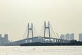 Cable Stayed Bridge On Saigon River, Vietnam. Royalty Free Stock Photo