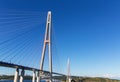 Cable stayed bridge