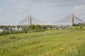 Cable-stayed Martinus Nijhoffbridge over river Waal