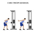 Cable triceps kickback exercise strength workout vector illustration Royalty Free Stock Photo