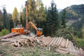 Cable yarding timber harvesting in forest