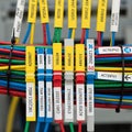 The cables are bound together by black ties and feature tags with alphanumeri Royalty Free Stock Photo