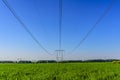 Cables of a high-voltage power line and supports over a green field in the early summer morning Royalty Free Stock Photo