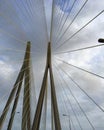 Cables in a modified fan design on a cable stay bridge