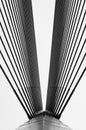 Cables and Poles of Wawasan Bridge Royalty Free Stock Photo