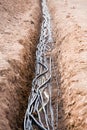 Cables in trench