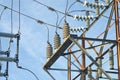 A semi artistic image of cables and insulators in a substation of the electrical grid Royalty Free Stock Photo