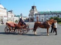 A cabman and tourists petting the horse. In the square of Kazan in the republic Tatarstan in Russia.