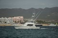 Cabo Charter Boat