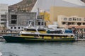 Cabo Charter Boat