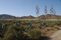 Cabo de Gata Royalty Free Stock Photo