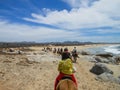 Tourists horseback riding on the beach in Cabo San Lucas, Baja California
