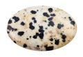 Cabochon of Dalmatian Stone gemstone isolated Royalty Free Stock Photo