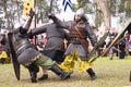 Caboolture Medieval Festival Battle