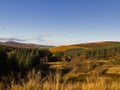 Cabrach road to Dufftown.