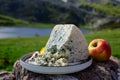 Cabrales artisan blue cheese made by rural dairy farmers in Asturias, Spain cowÃ¢â¬â¢s milk or blended with goat, sheep milk