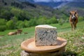 blue cheese made by rural dairy farmers in Asturias, Spain from unpasteurized cowÃ¢â¬â¢s milk or blended with goat