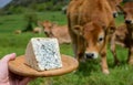 ue cheese made by rural dairy farmers in Asturias, Spain from unpasteurized cowÃ¢â¬â¢s milk or blended with goat