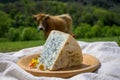 Cabrales artisan blue cheese made by rural dairy farmin from unpasteurized cowÃ¢â¬â¢s milk or blended with goat