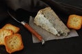 Cabrales, spanish blue cheese and bread on dark background Royalty Free Stock Photo