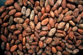 Cacao beans wallpaper, child slavery concept