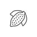 Cacao bean line outline icon