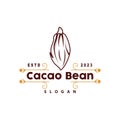 Cacao Bean Logo, Premium Design Vintage Retro Old Fresh Organic Garden Plant Seed Simple Minimalist